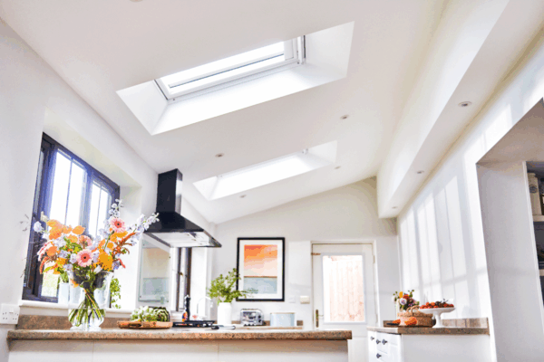 Velux Windows and Roof